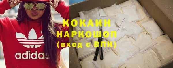 соль ск Дмитриев