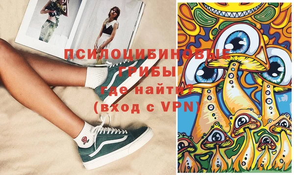 дмт Заводоуковск