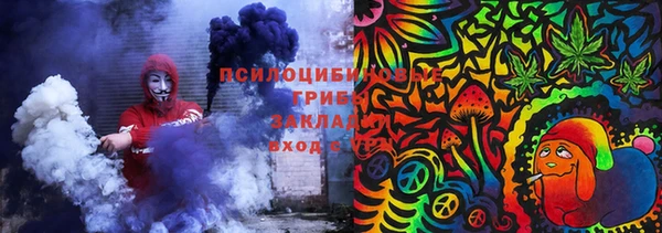 дмт Заводоуковск