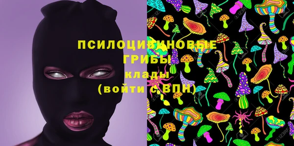 мескалин Елабуга
