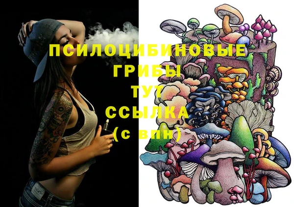 синтетический гашиш Дмитровск