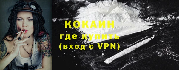 твердый Елизово