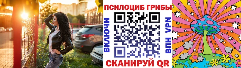 hydra ссылка  Чернушка  Псилоцибиновые грибы MAGIC MUSHROOMS  продажа наркотиков 